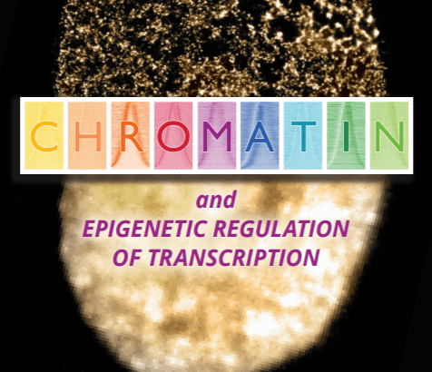 Penn State Summer Symposium on Eukaryotic Gene Regulation